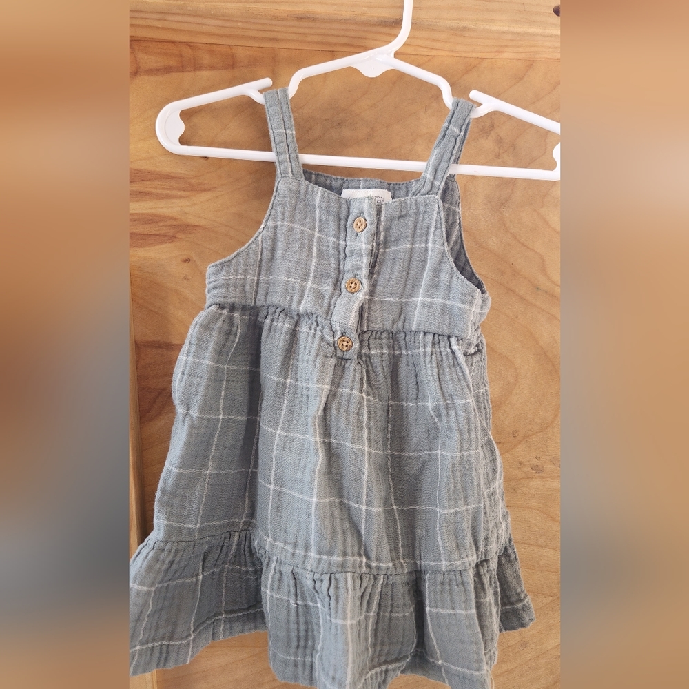Carter's Little Planet Organic Dress